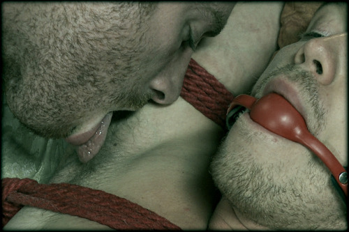 lovingair:  “Pleasure, pain, we can do whatever we want. It’s not up to you any more. No one knows where you are.”