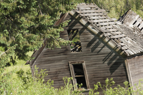 Palouse - Abandoned #3Source: Diane Williams’s Photography