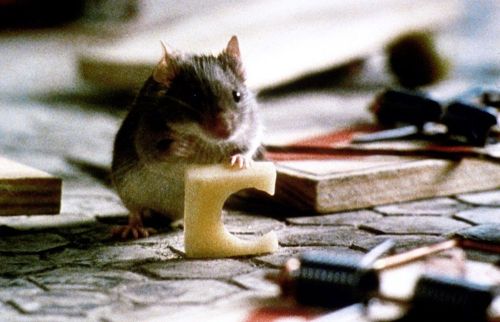 Mousehunt