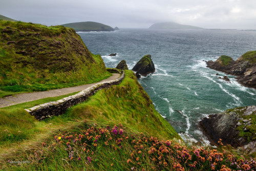 allthingseurope:Dunquin, Ireland (by Alexis Bazeos)