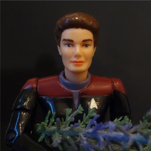 action-figures-in-action:Chakotay is on the search for some flowers for Valentine’s Day. But it does