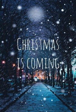 Winter & Christmas Holidays.