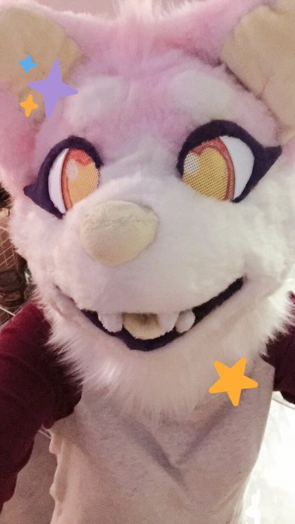 I’m really proud to announce my first fursuit, Strawberry Cheesecake! She’s been a labor of love sin