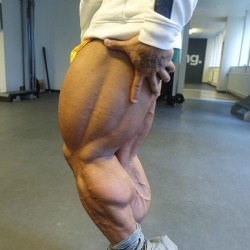 Carlito Muscle