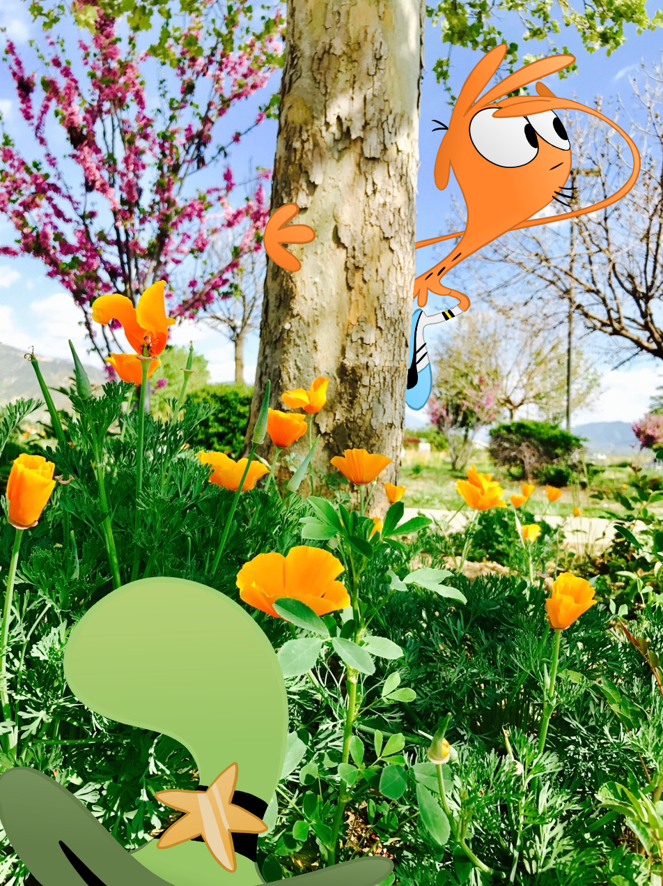 wanderin-over-yonder:  Wanderlust