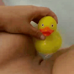 brujitalove:Patito afortunado patito &lt;3