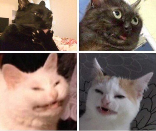 Choose 1 to be your ally, the other 3 will try to fight you