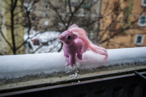 Pony is content in the snowpic by me, all rights reserved