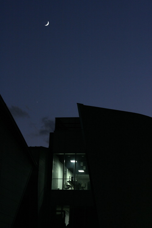 felixjapan:  Photo taken in Kyoto, Japan at night by me. Instagram 