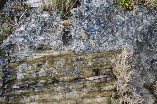 somethingweirdisawtoday:The rock formations on Harutahama Beach are fascinating. The layering, the d