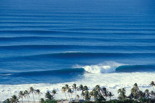 cbssurfer:  North Shore, Hawaii