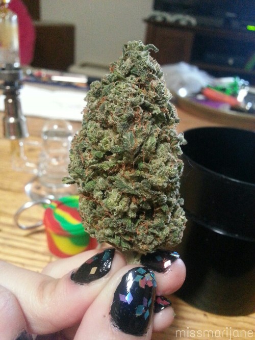 missmarijane:AK-47
