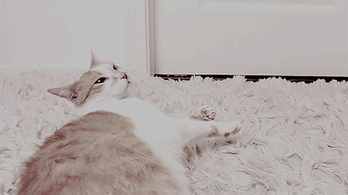 highfaenesta: addictedforbooksquad:  Like Us Series | Cobaretti Price says, “Was it for the fame or 
