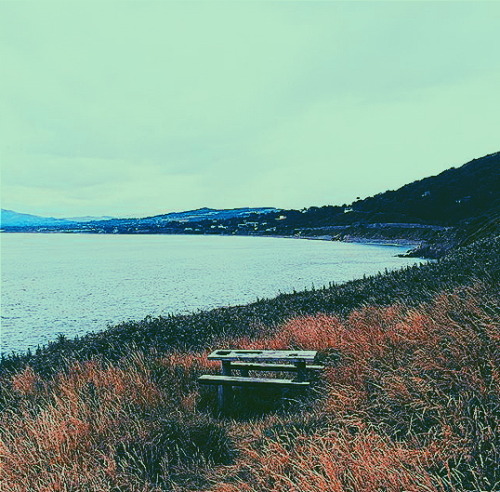 goghly: Bullock Harbour, Ireland. (2015)