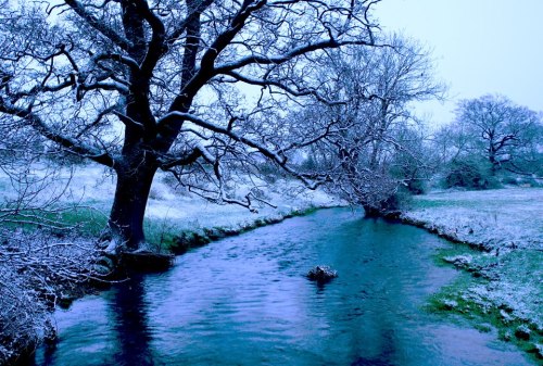 Snowy morning in Hampshire UK