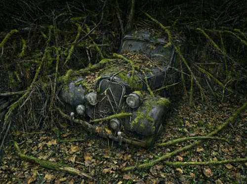 nevver: Where did we park, Peter Lippman porn pictures