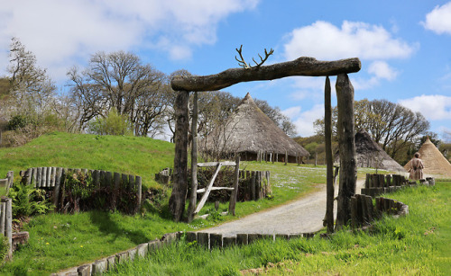 Castell Henllys Iron Age Settlement, Pembrokeshire, South Wales, 5.5.18.Reconstructed roundhouse com