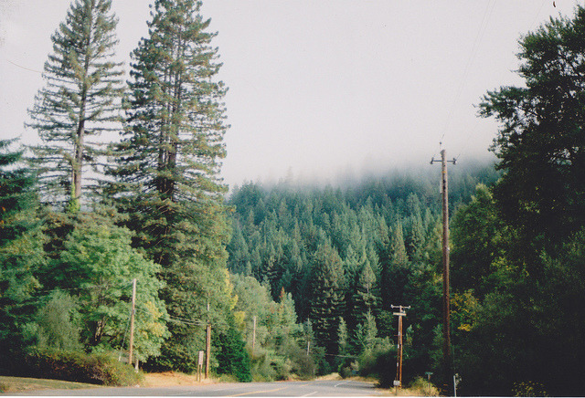 smellychris:  untitled by malinda fisher on Flickr. 