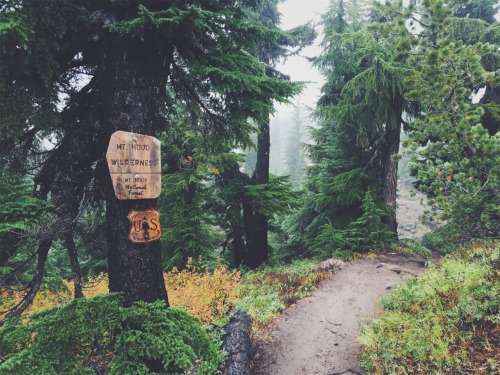 agirlnamedally: justapplyyourself: Pacific Crest Trail. Mt. Hood, Oregon. One of my favourite hikes 