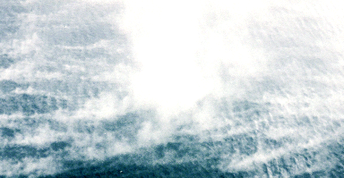 brucebanners:  Maybe we are here to experience people as a reason for love.    Solaris