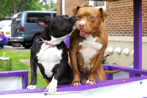 The kissing booth girls are ready to smooch your face!