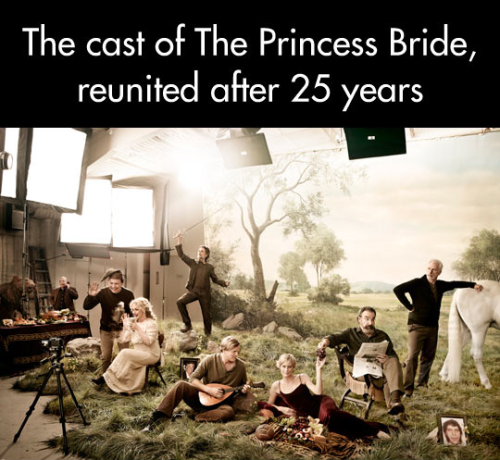 smallworldofbigal:d0s-cadenaz:shfifty-five-en-half:The cast of The Princess Bride 25 years later. En