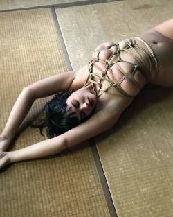 hornyhouseofhorror:  Shibari & Photo