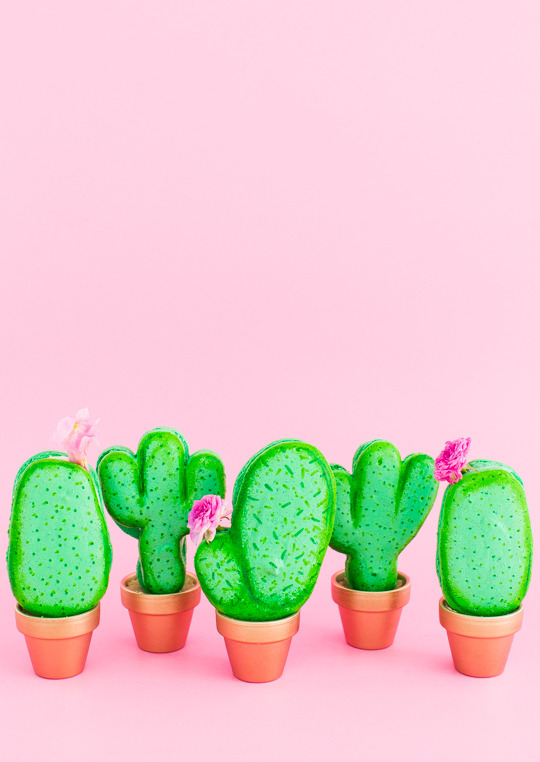 loopylass55:  sweetoothgirl:  DIY Potted Cactus Macarons   Yum! Love these they look