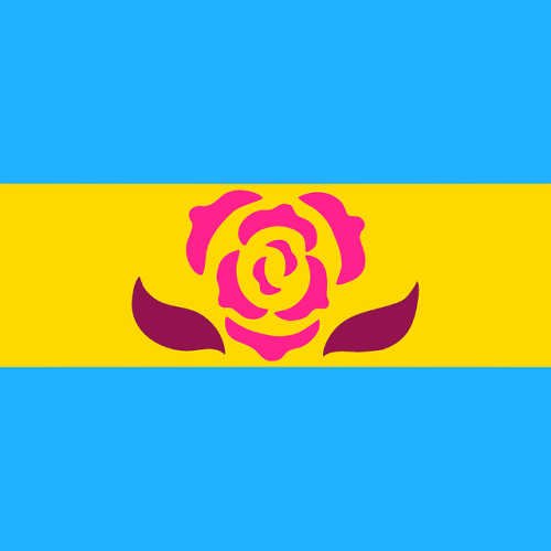 aroaesflags:MLM flags in other flag colorsBi | Pan | PlyTrans | NB | GenderqueerAro | Gay | Ace