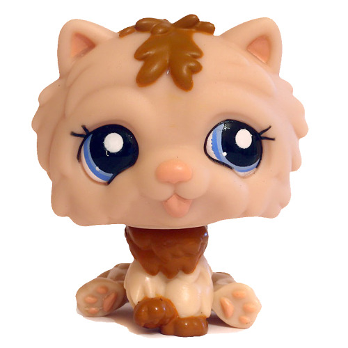 Brown Dog Lps ^__^ 