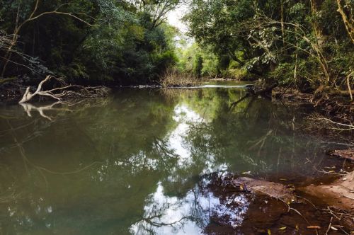 Shallow waters.Lo mas lindo, de estar en ese tipo de lugares es el sonido del agua corriendo y de 