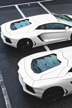 mistergoodlife:  Double Trouble | More  