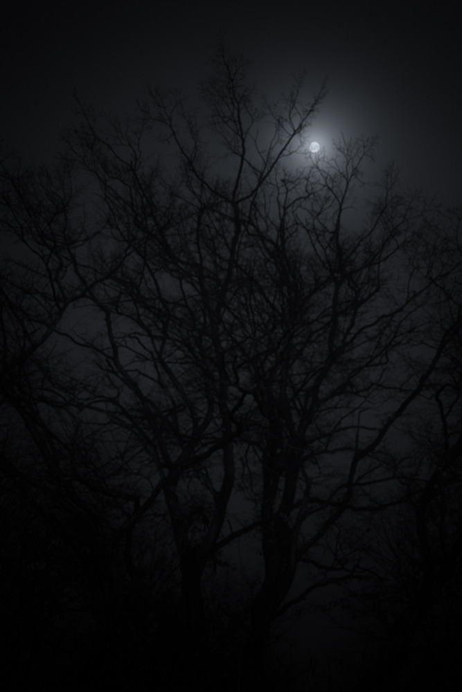 stephiramona:  Long nights