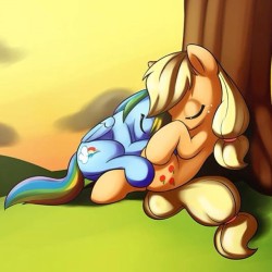 pegacornfiona:  I love u, dash. #mylittlepony