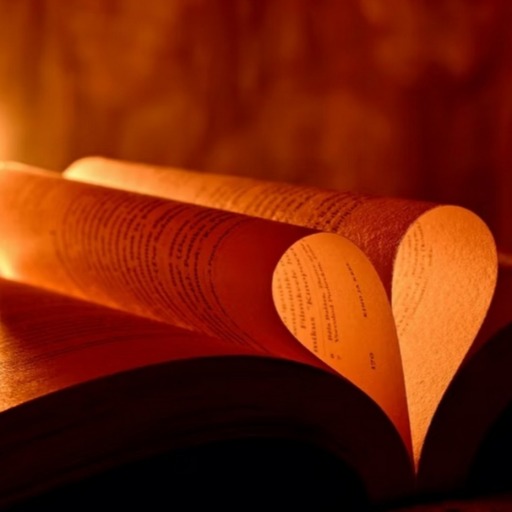 chicklit-aesthetics: