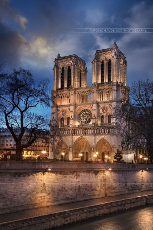 Porn photo judithdcollins:  Notre-Dame Cathedral | Paris