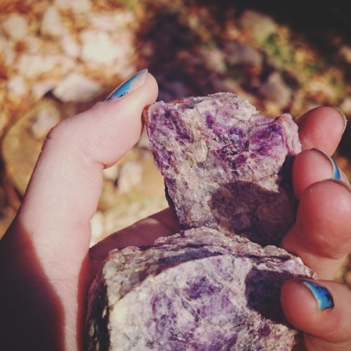 A few minerals and fossils, I found last year. 