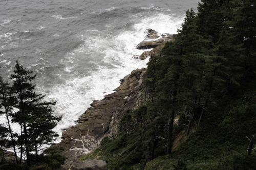 kovthephotographer:Oswald West State Park, OregonSmuggler’s CoveOregon Coast TrailTreasure Cove