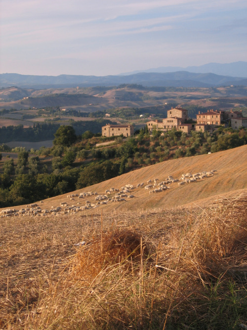 breathtakingdestinations:
“Tuscany - Italy (von www.to-tuscany.com)
”