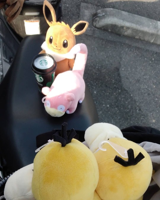 ヤドンのいる生活 Explore Tumblr Posts And Blogs Tumgir ヤドンのいる生活 Explore Tumblr Posts And Blogs Tumgir