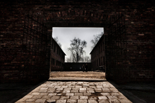 awkwardsituationist:january 27 is holocaust remembrance day. it was on this day in 1945 that the sov
