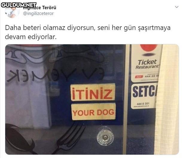 İngilizce Terörü...