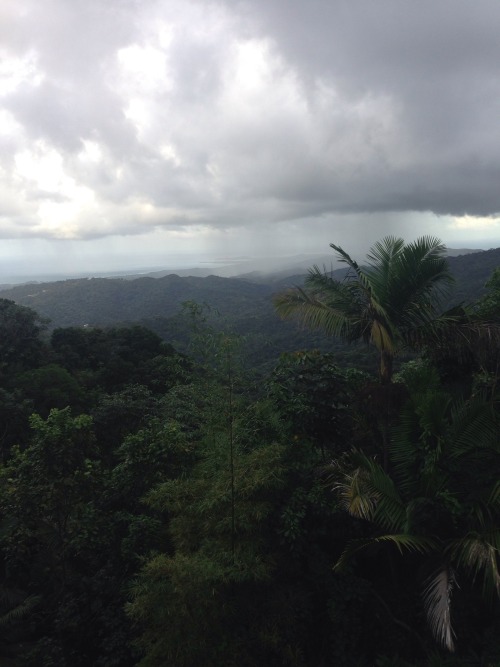 kindra-x:  El Yunque National Park, Puerto Rico