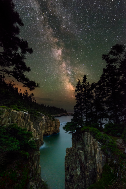 tulipnight:  Raven’s Nest by Adam Woodworth on Flickr. 