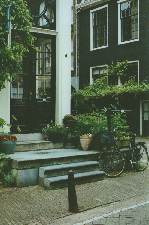 andreitintea:  pelayoarbues:  Amsterdam (Netherlands). April 2013.  vintage/nature 
