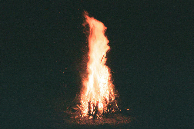 prince-wild-young-free:   by Joe Nigel Coleman on Flickr.
