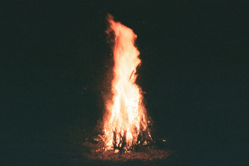 prince-wild-young-free:   by Joe Nigel Coleman on Flickr.