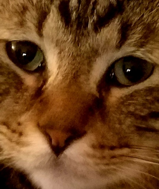 instoresnearyou: laserlily:   instoresnearyou:     haha beanhead   