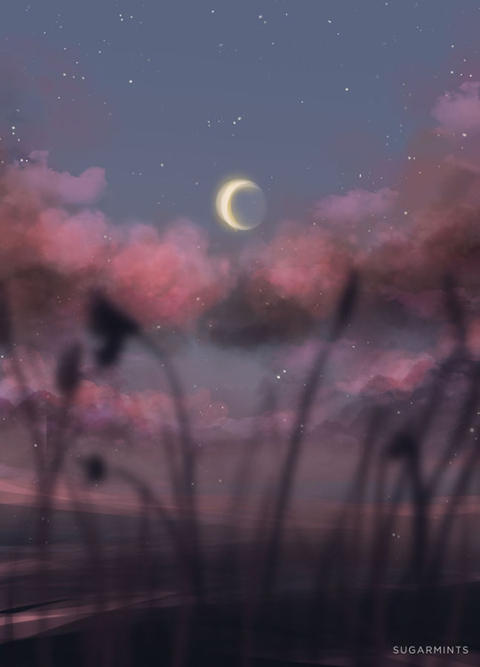 was it a memory or a dream?