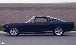 justoldmustangs:  Just old Mustangs 1965